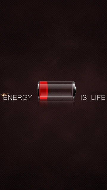 Energy Is Life Battery Icon