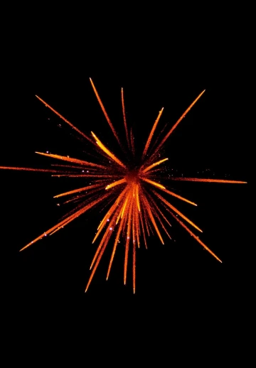 Firework