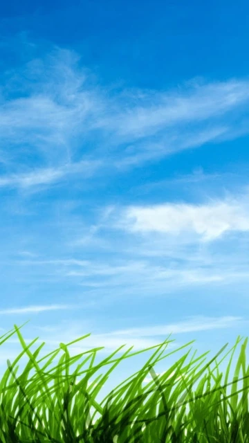 Green Grass Against Blue Sky