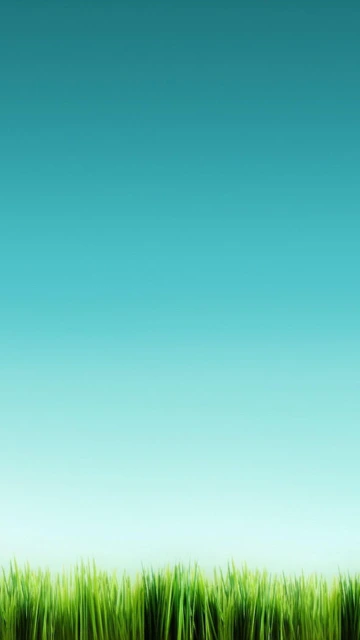 Green Grass and Blue Sky Background