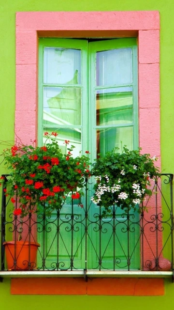 Green Window With Pink Frame and Flowers