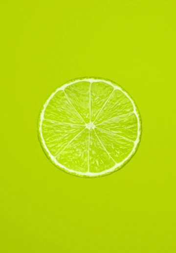 Lemon Slice Citrus
