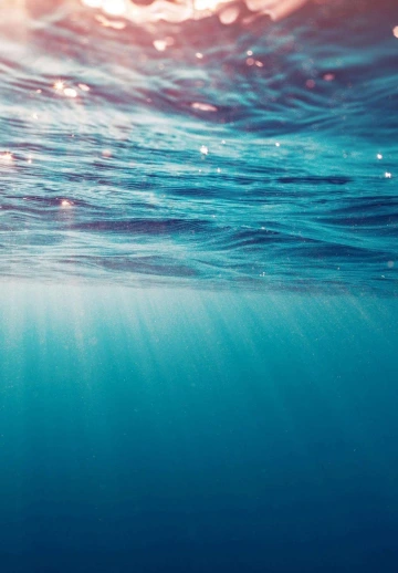 Under Water View