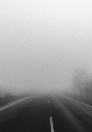 View Of Road In Foog