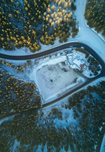 Winter View