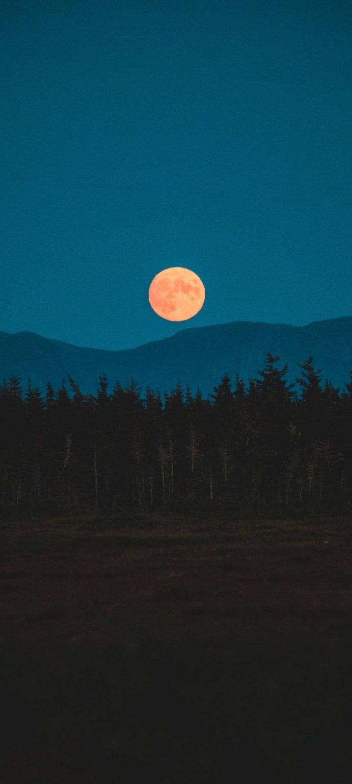 Moon Night Blue Sky Wallpaper