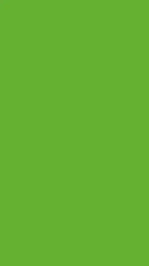 Closeup Green Leaves  Download Mobile Phone full HD wallpaper