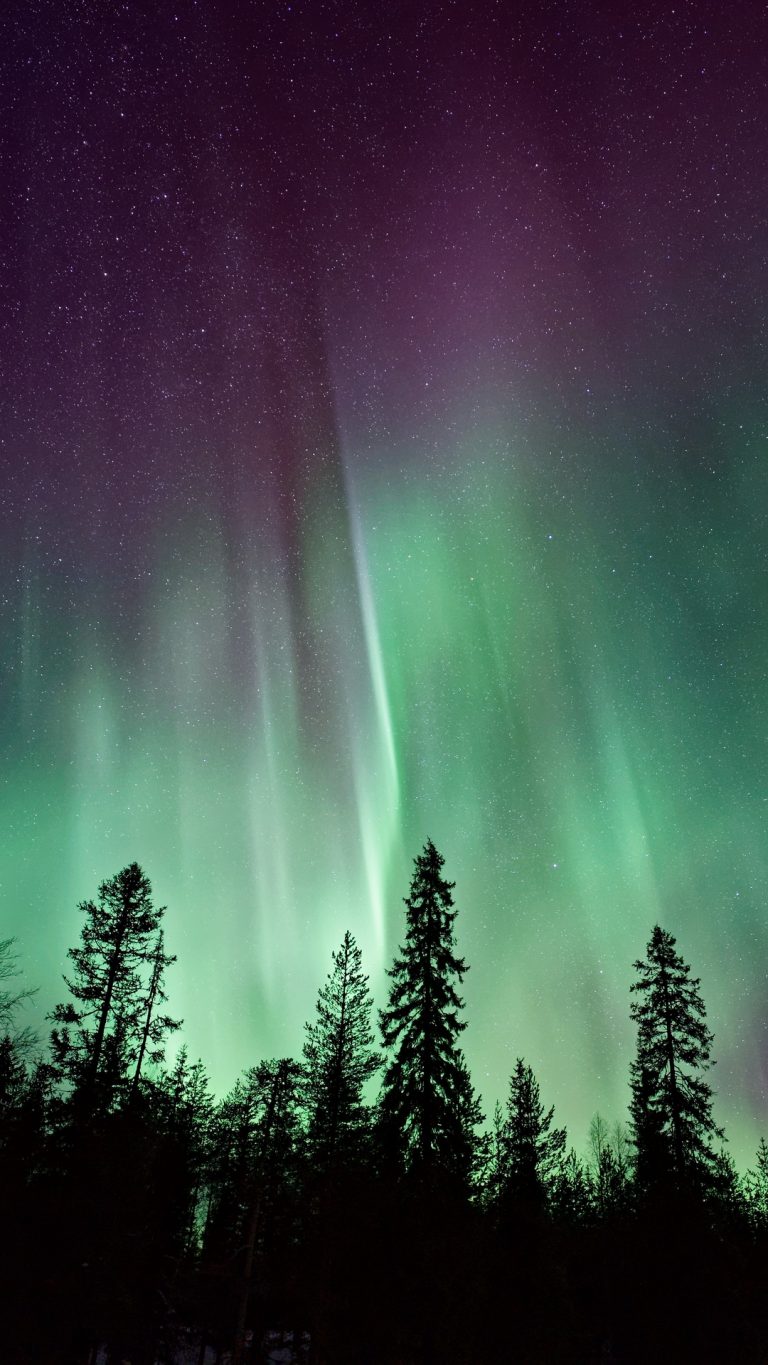 Northern Lights Sky Night Stars Trees Wallpaper - [1080x1920]