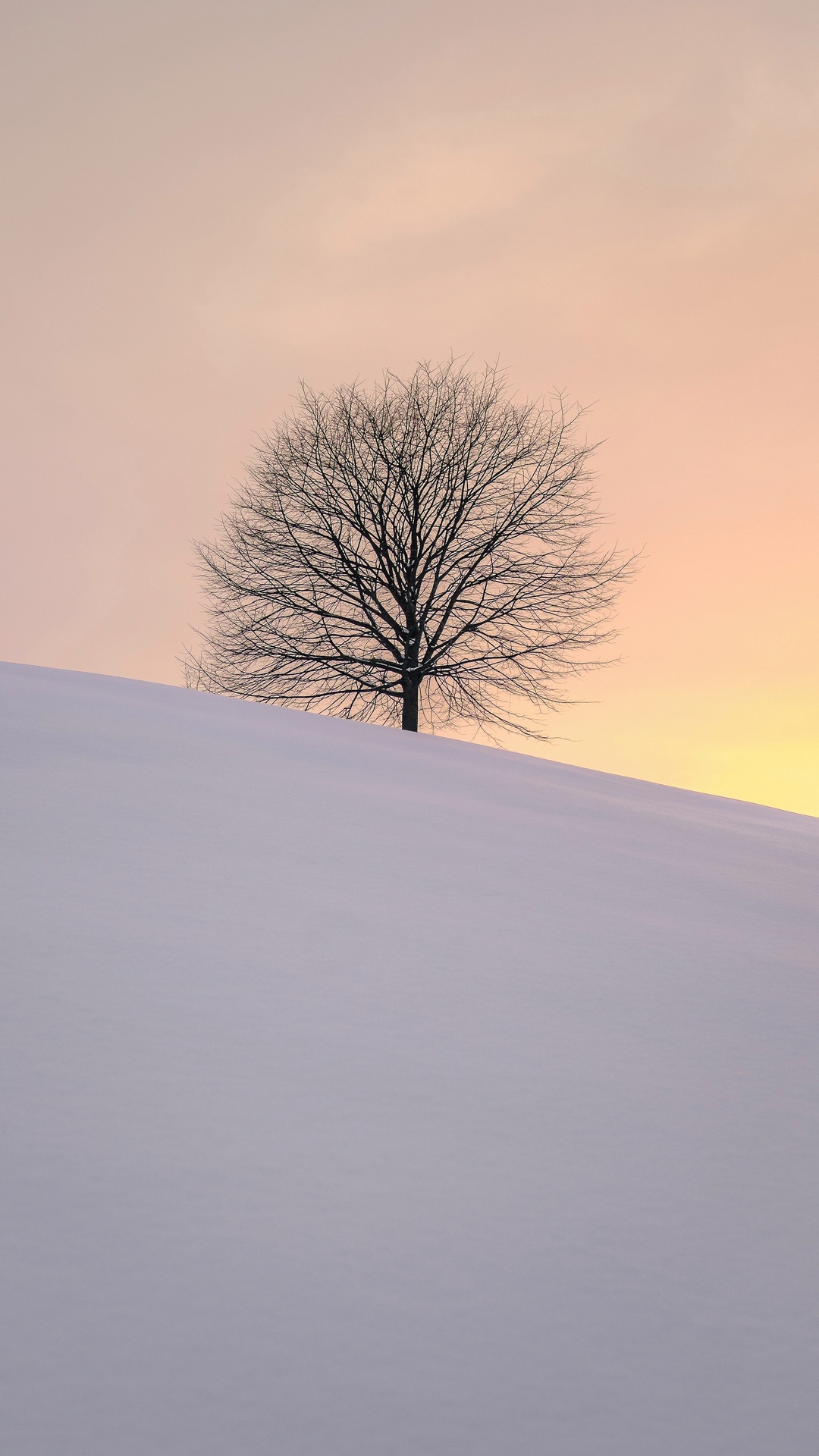 4 Minimalist Snow Texture Wallpapers for iPhone 6 Plus  iPad Air 2   OSXDaily